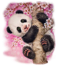 Thumbnail for Cherry Blossom Panda Tshirt - TshirtNow.net - 2