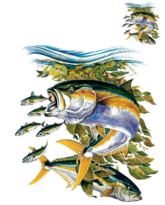 Yellowtail Fish Tshirt - TshirtNow.net - 2
