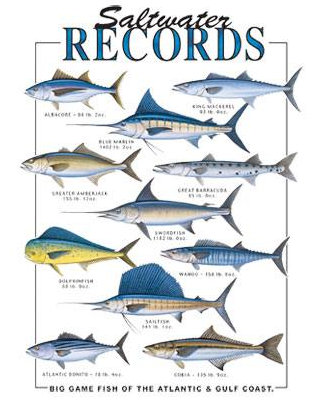Saltwater Records Fish Tshirt - TshirtNow.net - 2