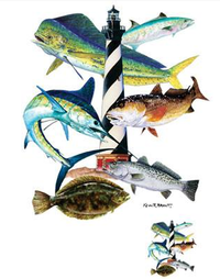 Thumbnail for Cape Hatteras Fish Tshirt - TshirtNow.net - 2