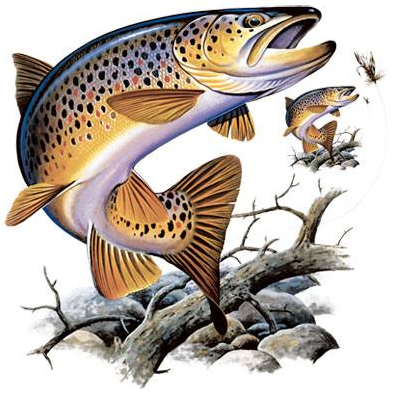 Brown Trout Tshirt with Oversized Print - TshirtNow.net - 2
