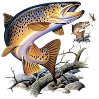 Thumbnail for Brown Trout Tshirt with Oversized Print - TshirtNow.net - 2