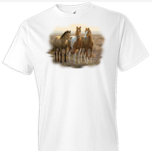 Curious Colts Horse Tshirt - TshirtNow.net - 1