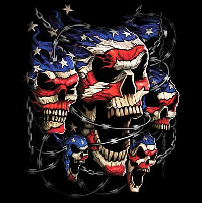Patriotic Skulls Tshirt - TshirtNow.net - 2