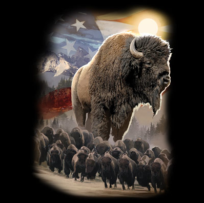 American Bison Flag Tshirt - TshirtNow.net - 2