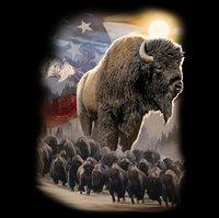 Thumbnail for American Bison Flag Tshirt - TshirtNow.net - 2