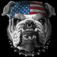 Thumbnail for American Bison Flag Tshirt - TshirtNow.net - 2