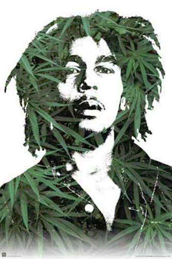 Bob Marley Reefer Leaves Poster - TshirtNow.net