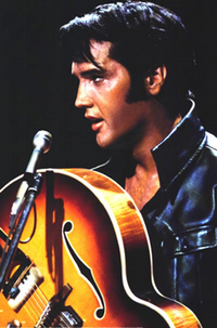 Thumbnail for Elvis Leather Poster - TshirtNow.net