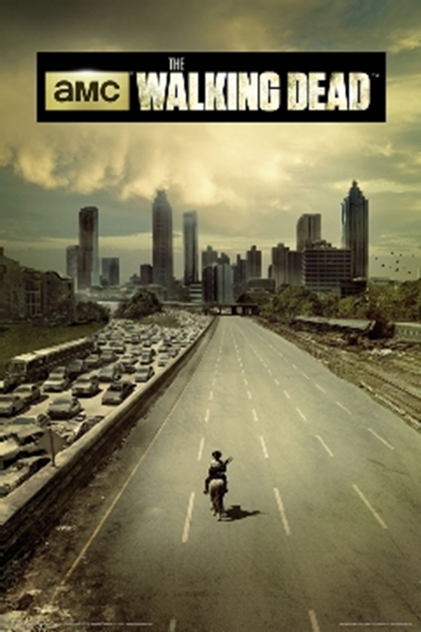 Walking Dead Highway Poster - TshirtNow.net