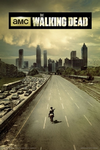Thumbnail for Walking Dead Highway Poster - TshirtNow.net