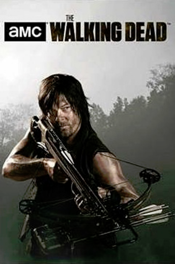 Walking Dead Daryl 2 Poster - TshirtNow.net