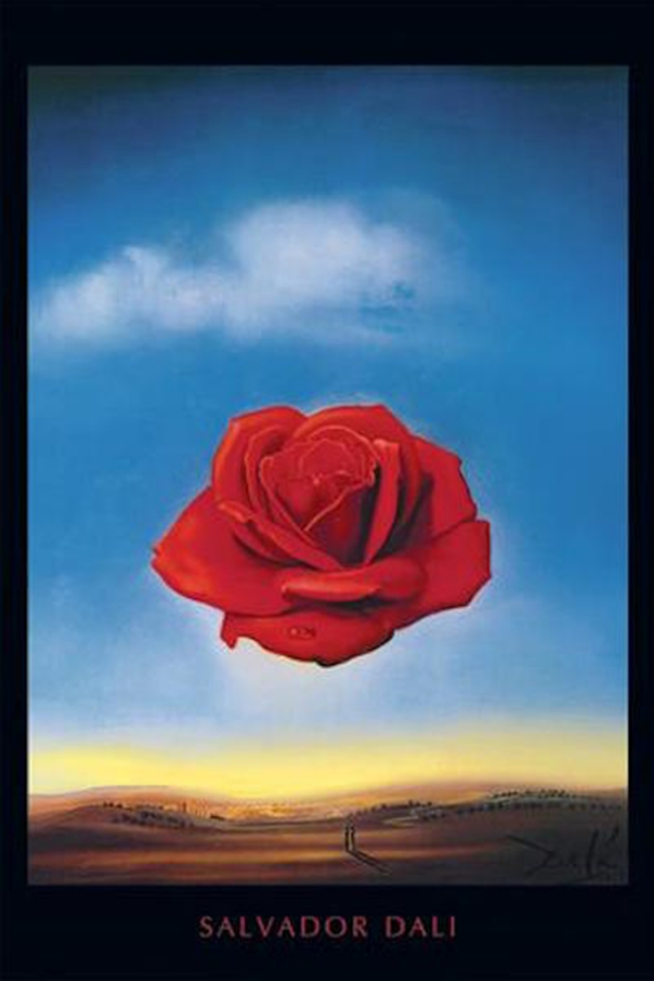 Salvador Dali Meditative Rose Poster - TshirtNow.net