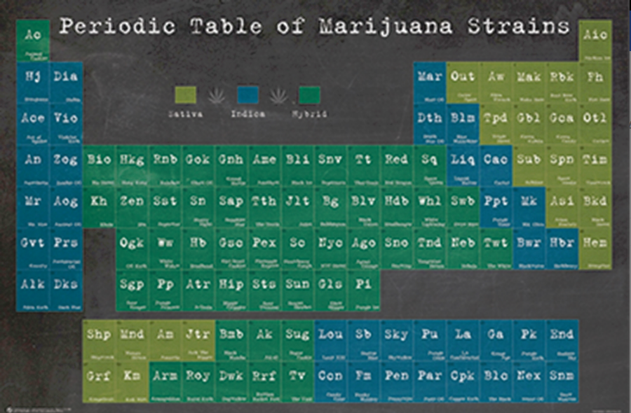 Periodic Table of Marijuana Strains Poster - TshirtNow.net