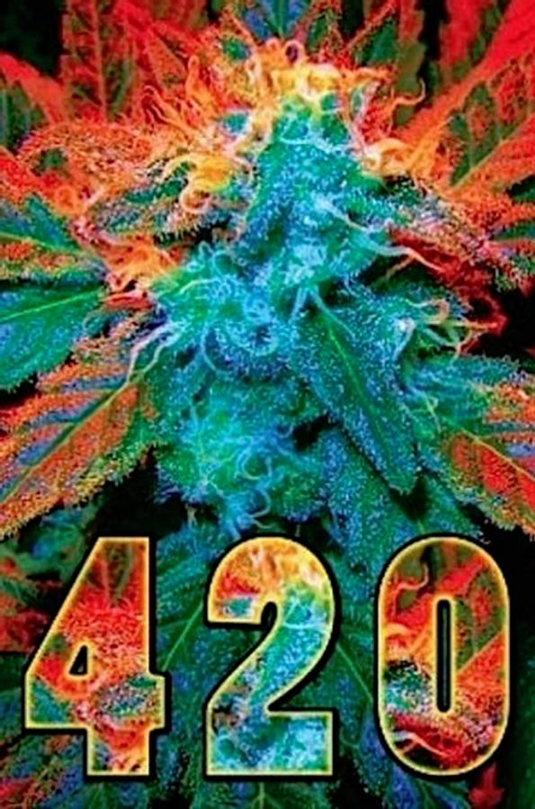 420 Poster - TshirtNow.net