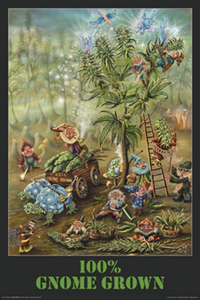 Thumbnail for Gnome Grown Poster - TshirtNow.net