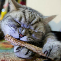 Thumbnail for Cat Chompy Sticks