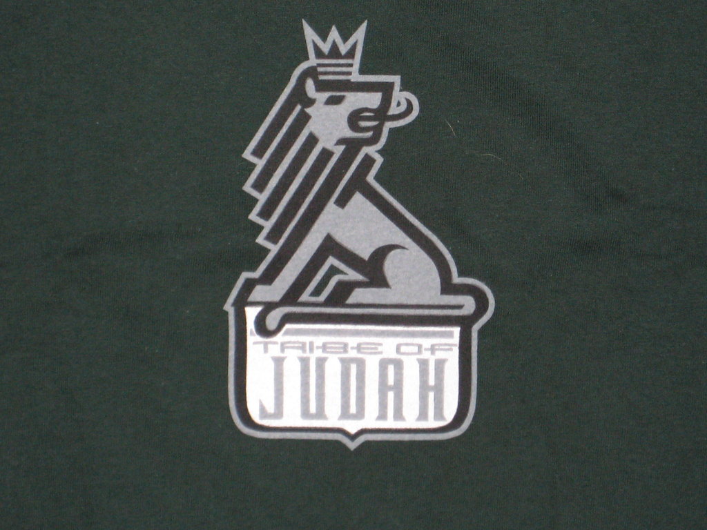 Reggae Tribe of Judah Lion Green Tshirt Size L - TshirtNow.net - 2