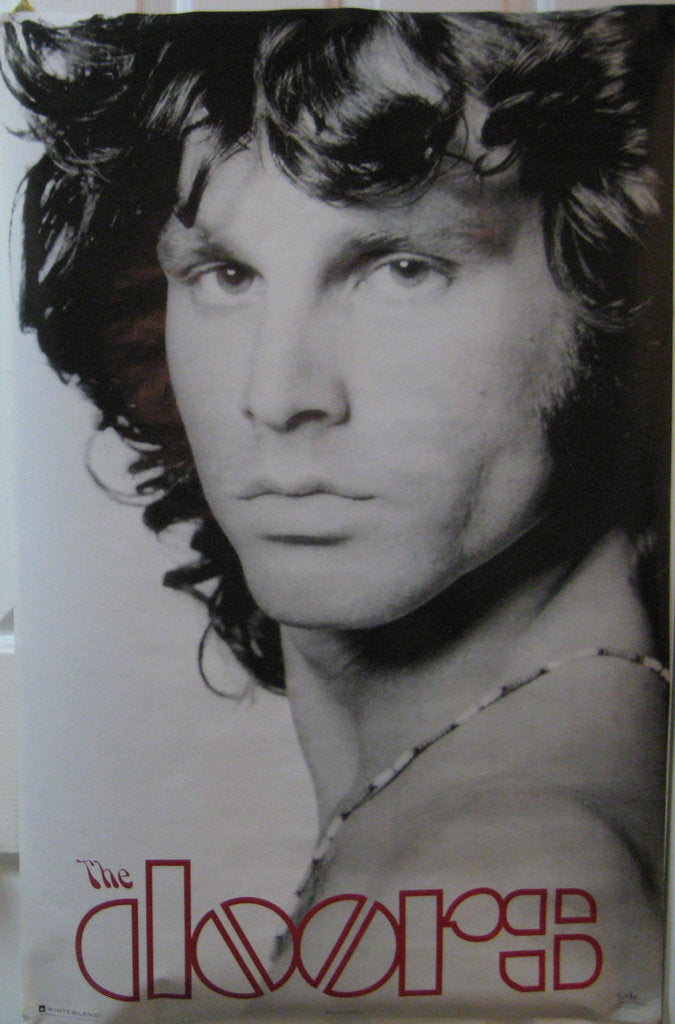 The Doors Jim Morrison Poster - TshirtNow.net