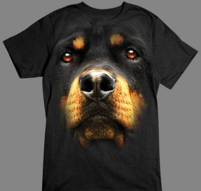 Rottweiler Face tshirt - TshirtNow.net