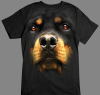 Thumbnail for Rottweiler Face tshirt - TshirtNow.net