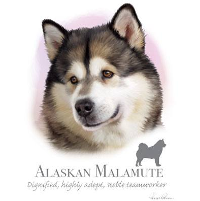 Alaskan Malamute tshirt - TshirtNow.net - 2