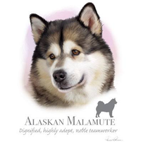 Thumbnail for Alaskan Malamute tshirt - TshirtNow.net - 2