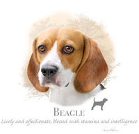 Thumbnail for Beagle tshirt - TshirtNow.net - 1