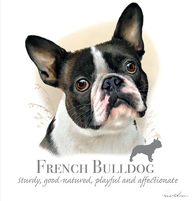 French Bulldog Tshirt - TshirtNow.net - 2