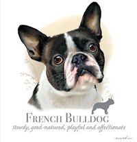 Thumbnail for French Bulldog Tshirt - TshirtNow.net - 2
