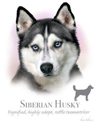 Thumbnail for Siberian Husky Tshirt - TshirtNow.net - 2