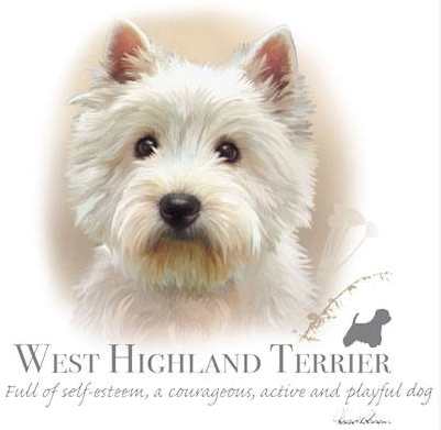West Highland Terrier Tshirt - TshirtNow.net - 2
