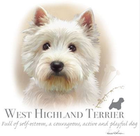 Thumbnail for West Highland Terrier Tshirt - TshirtNow.net - 2