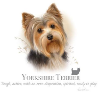Thumbnail for Yorkshire Terrier Tshirt - TshirtNow.net - 2