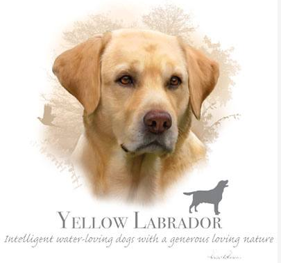 Yellow Labrador Tshirt - TshirtNow.net - 2