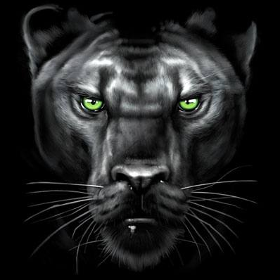 Majestic Panther Tshirt - TshirtNow.net - 2