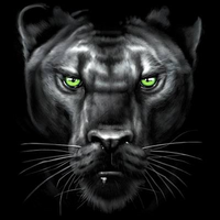 Thumbnail for Majestic Panther Tshirt - TshirtNow.net - 2