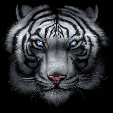 Majestic White Tiger Tshirt - TshirtNow.net - 2