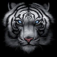 Thumbnail for Majestic White Tiger Tshirt - TshirtNow.net - 2