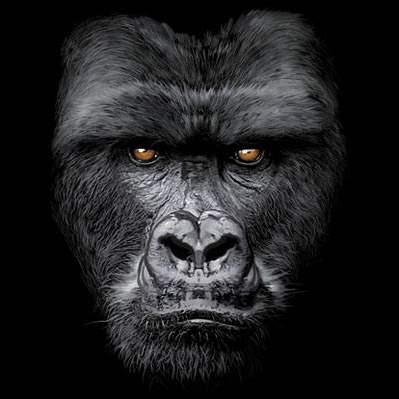 Majestic Gorilla Tshirt - TshirtNow.net - 2
