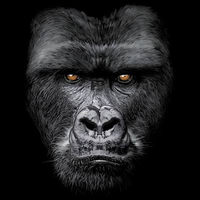 Thumbnail for Majestic Gorilla Tshirt - TshirtNow.net - 2