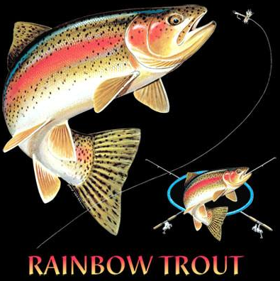 Rainbow Trout Combination Tshirt - TshirtNow.net - 2
