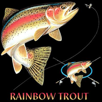 Thumbnail for Rainbow Trout Combination Tshirt - TshirtNow.net - 2