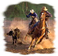 Thumbnail for Ropin On The Ranch Horse Tshirt - TshirtNow.net - 2