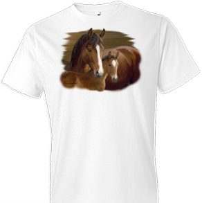 Bay Ladies Horse Tshirt - TshirtNow.net - 1