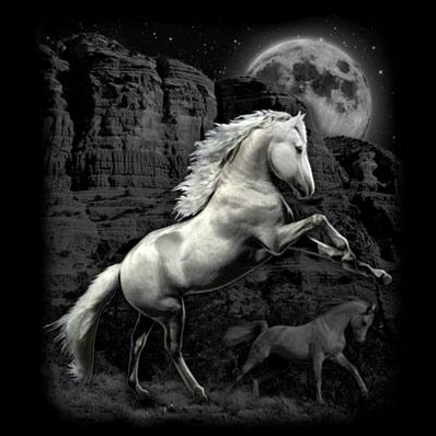 White Horse Wilderness Tshirt - TshirtNow.net - 2