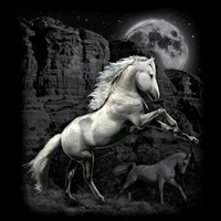 Thumbnail for White Horse Wilderness Tshirt - TshirtNow.net - 2