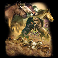 Thumbnail for Wild Horses Tshirt - TshirtNow.net - 2