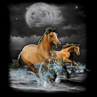 Thumbnail for Horse Wilderness Tshirt - TshirtNow.net - 2