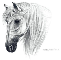 Thumbnail for Tranko Andalusian Horse Tshirt - TshirtNow.net - 2